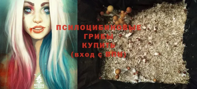 Галлюциногенные грибы Cubensis  hydra   Белорецк 